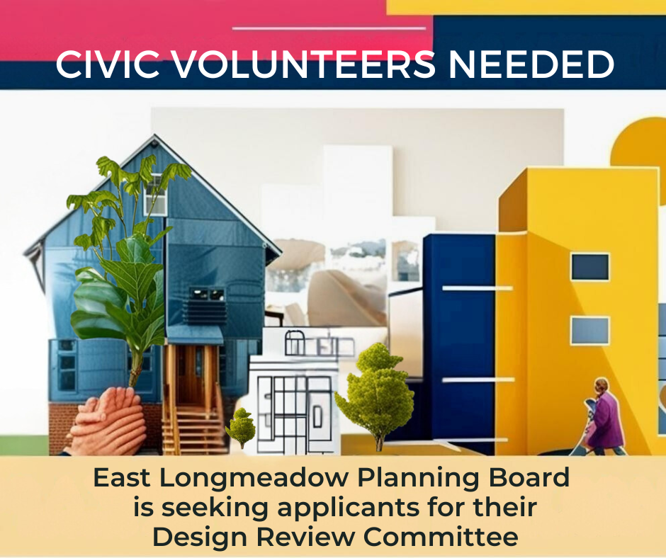 DIVERSISE VOLUNTEERS NEEDED (Facebook Post)